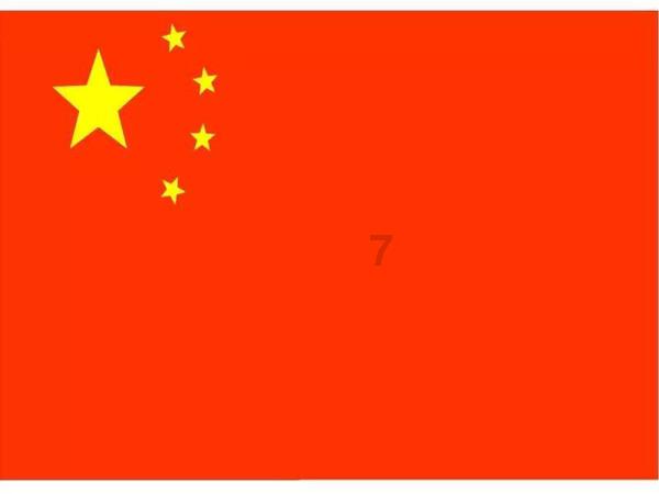 世粮署:加沙地带饥荒风险与日俱增