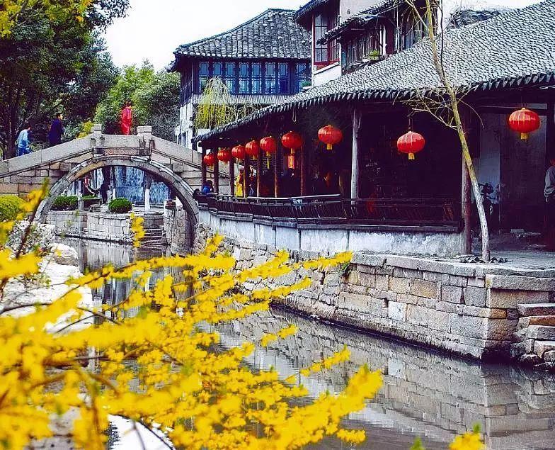 洛星博物纪丨城市篇
